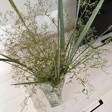 Apartamentai Senamiestyje Klaipedos Inkarai Apartmán