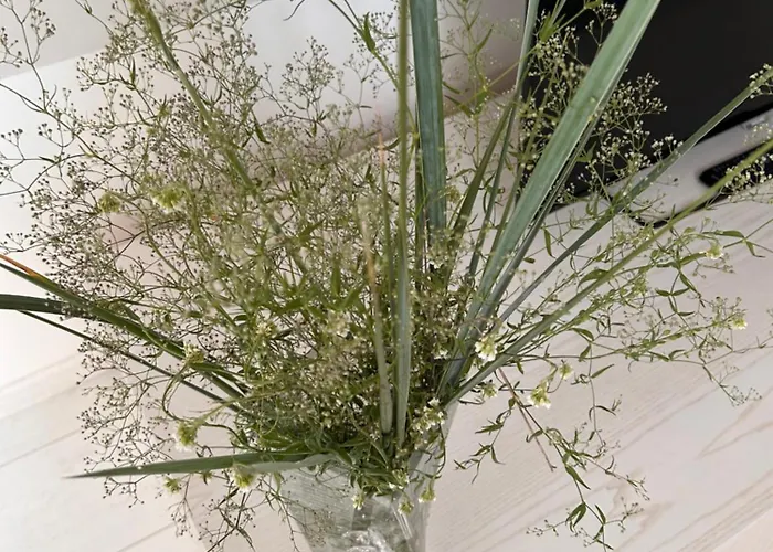 Apartamentai Senamiestyje Klaipedos Inkarai Apartamento